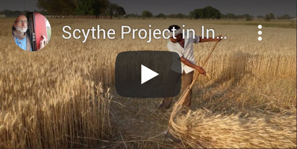 Scythe Project in India 2016